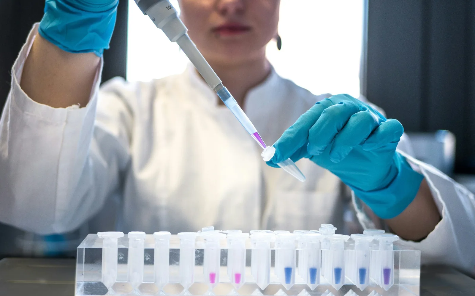 Laboratory technician preparing blood samples for testing